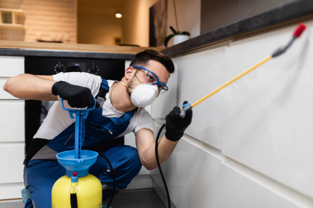 Best Pest Control Cost  in South Windham, CT
