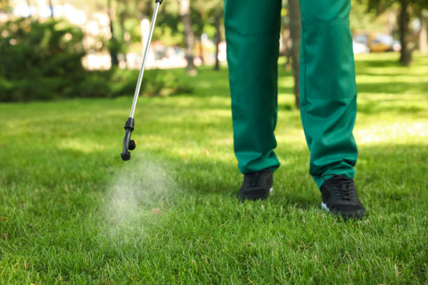 Best Best Pest Control Companies  in South Windham, CT