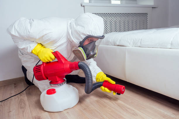 Best Pest Removal Services  in South Windham, CT