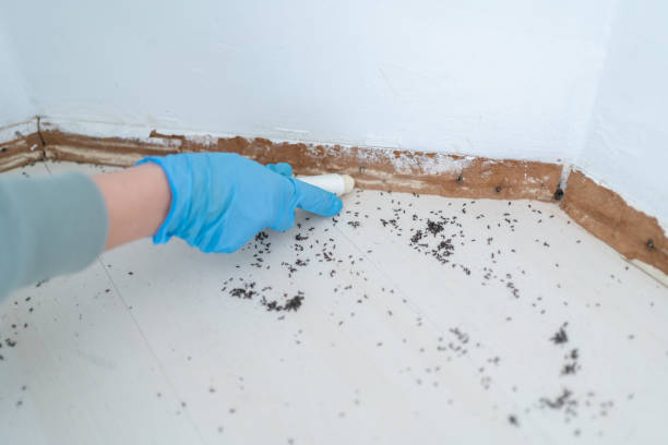South Windham, CT Pest Control Company